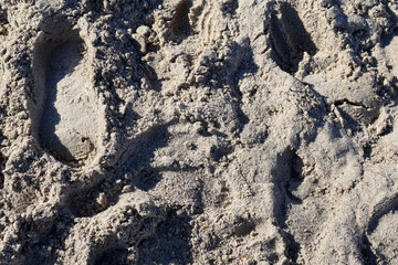 Close-Up of Sandy Beach with Footprints