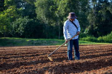 Asian farmer is using hoe to plough tilled soil ready for planting in the countryside during summer...