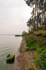 Forest walking path on the lake shore in autumn
