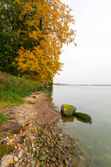 Forest walking path on the lake shore in autumn