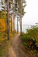 Forest walking path on the lake shore in autumn