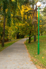 Forest footpath in autumn