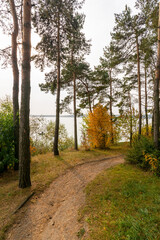 Forest walking path on the lake shore in autumn