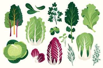 Flat salad. Cartoon healthy vegan food ingredients, fresh greens and spices, healthy food and low callories concept. Vector isolated set.