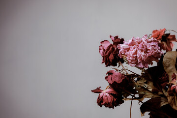 Dried flowers in a glass vase. Concept of dry skin, mental health problems, emotional burnout,...