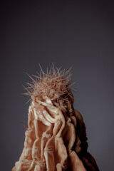 Dried cactus in a clay pot. Concept of dry skin, mental health problems, emotional burnout, dehydration. Lack of clean water and the environmental consequences of global warming.