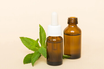 Natural Mint Essential Oil in a Glass Bottle. organic cosmetics with herbal extracts of mint on colored background
