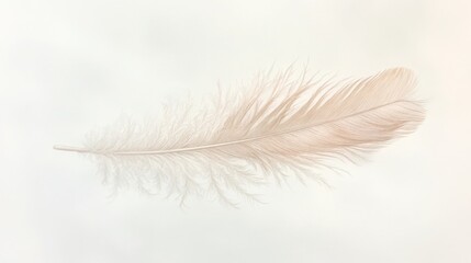 Obraz premium A delicate ostrich feather in soft, neutral tones, gently floating in midair