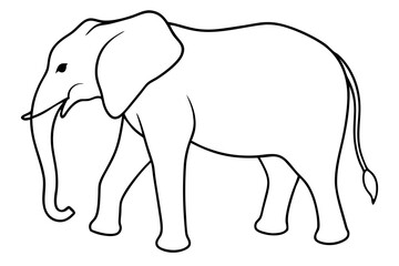 elephant line art silhouette vector illustration