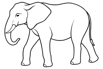 elephant line art silhouette vector illustration