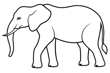 elephant line art silhouette vector illustration