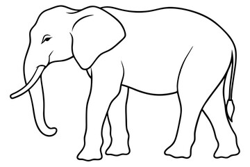 elephant line art silhouette vector illustration