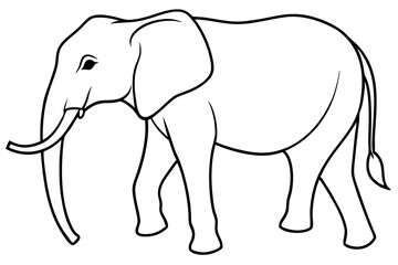 elephant line art silhouette vector illustration