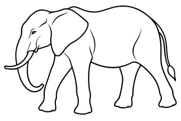 elephant line art silhouette vector illustration