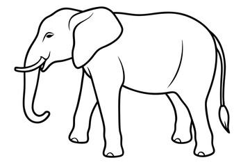 elephant line art silhouette vector illustration