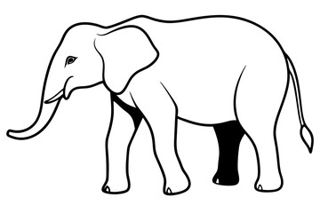 elephant line art silhouette vector illustration