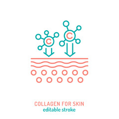Collagen for skin line icon. Connective tissue protein pictogram.