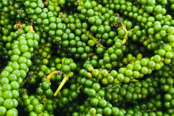 Pattern of fresh green peppercorns. Background and texture.