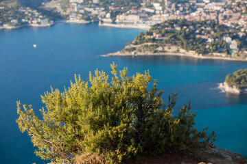 Point de vue de la Route des Crêtes, Cap Canaille, Cassis, Provence, Région PACA, Sud, France, Europe