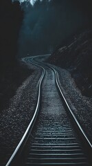 Fototapeta premium A long, winding railroad track disappears into the dark forest.