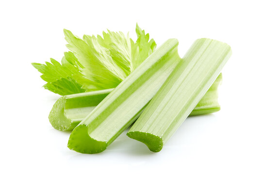 Celery stem with leaves in closeup