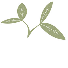 Green leaves illustration