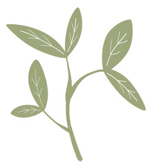 Green leaves illustration