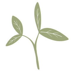 Fototapeta premium Green leaves illustration