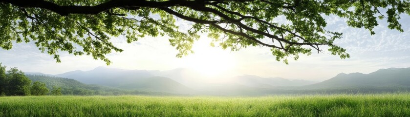 A serene landscape featuring lush green grass and trees under a bright sky, with gentle rays of sunlight illuminating the distant mountains.