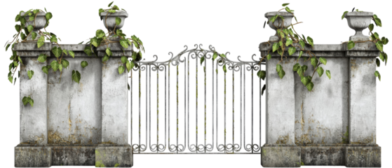 A weathered stone wall with ornate iron gates, adorned with vines, conveys a sense of age and mystery.