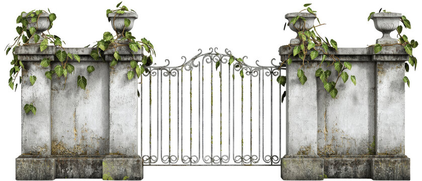 A weathered stone wall with ornate iron gates, adorned with vines, conveys a sense of age and mystery.