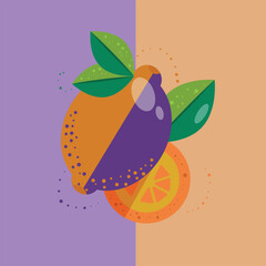  Lemon with grapefruit and leaves on color background