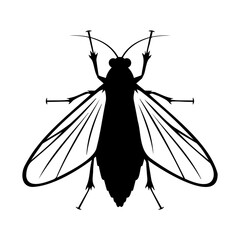 Black Silhouette of Fly Insect on White Background