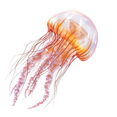 A vibrant jellyfish gracefully swimming through the ocean, showcasing its intricately detailed jelly-like body and flowing tentacles.