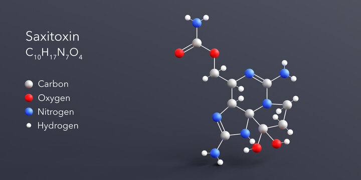 saxitoxin molecule 3d rendering, flat molecular structure with chemical formula and atoms color coding