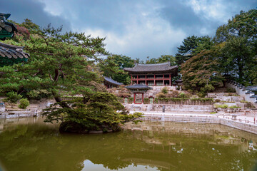 Naklejka premium 창덕궁 후원의 부용지와 주합루 - 종로구, 서울, 대한민국