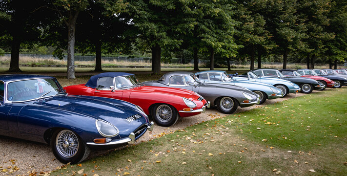 Display of classic Jaguar E-Type cars,  Concours of Elegance 2024, Hampton Court Palace, London, UK
