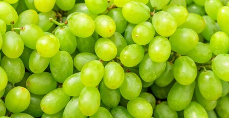 green grapes close up