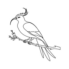 Line art, bird vector, A Vector of Beauty and Balance, Birds symbolize freedom and harmony, moving effortlessly through ecosystems. 