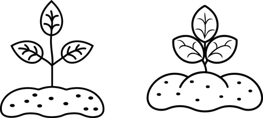 Black and White Simple Potato Plant Illustration