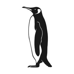 Penguin. Hand drawn vector illustration on white background