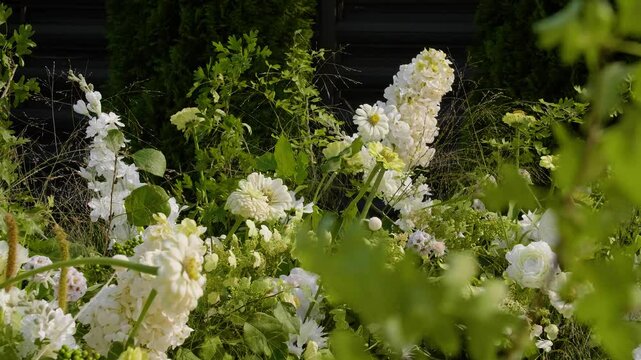 Close-up of different types of white flowers with greenery moving in the wind.