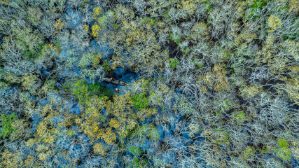 The flooded forest in the lagoon system in Hue is where many fishermen make a living, and is also the natural protection forest that protects people from storms. Photo taken in Hue on October 8, 2024.