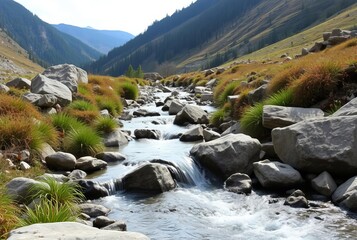 Mountain Stream A small mountain stream flowing over rocks with