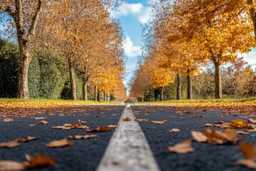 Naklejka premium Autumn Leaves on Road in Perspective