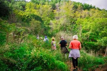 A group of elderly people walking in the woods. Concept of keeping active in the third age. Summer, exercise and hiking with group of friends and trekking together