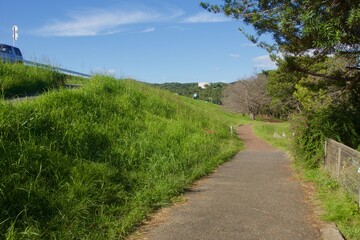 酒津公園の秋　曼珠沙華　彼岸花