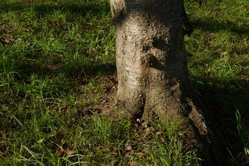 酒津公園の秋　曼珠沙華　彼岸花