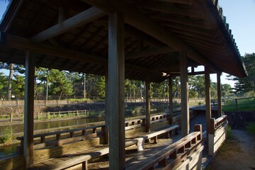 酒津公園の秋　曼珠沙華　彼岸花