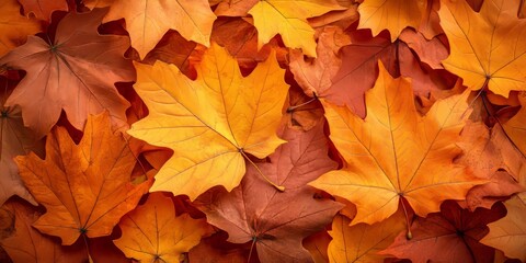 Fototapeta premium Beautiful orange and yellow autumn leaves banner background. fallen maple leaves, Generative AI